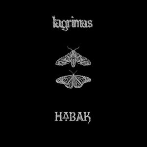 LAGRIMAS // HABAK