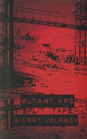 Split Tape