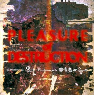 PLEASURE of DESTRUCTION (EP)