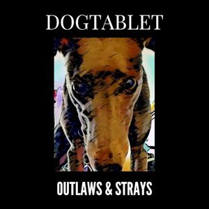 Outlaws & Strays
