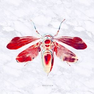 Cicada EP (EP)