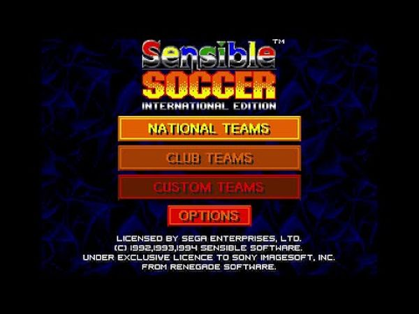 International Sensible Soccer