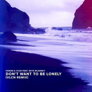 Don't Want To Be Lonely (VLCN Remix) (Single)