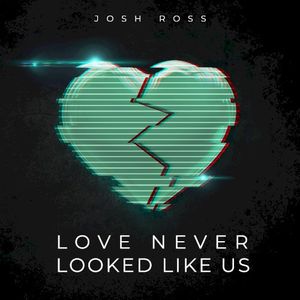 Love Never Looked Like Us (Single)