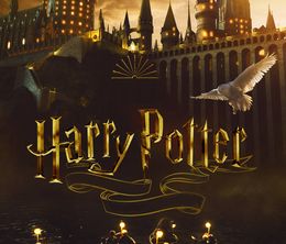 image-https://media.senscritique.com/media/000021306814/0/harry_potter.jpg