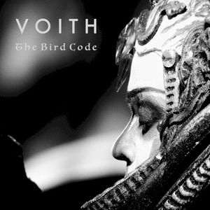 The Bird Code (Single)