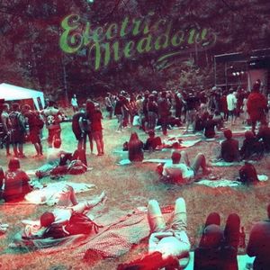 Live@Electric Meadow 2015 (Live)
