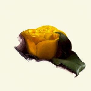 Yellow Rose (Single)