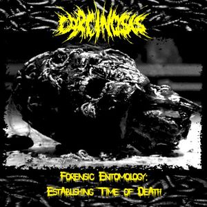 Paradise of Steaming Cadavers (Xysma Cover)