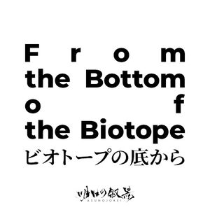 From the Bottom of the Biotope (Single)