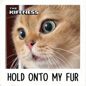 Hold Onto My Fur (Single)