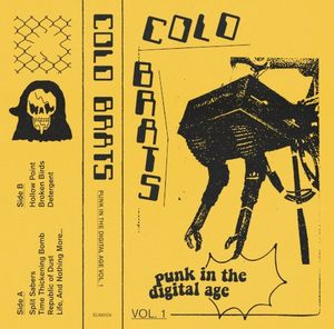 Punk in the Digital Age, Vol. 1