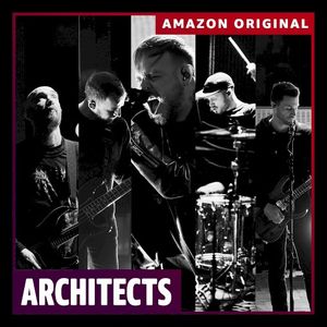 Animals (Amazon Original) (Live)