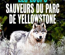 image-https://media.senscritique.com/media/000021322301/0/les_loups_sauveurs_du_parc_de_yellowstone.jpg