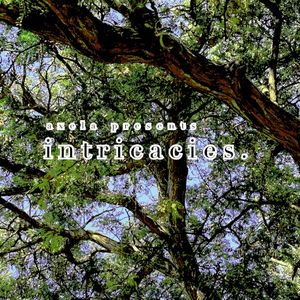 intricacies.
