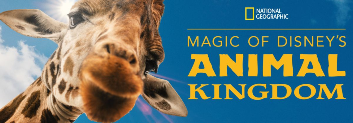 Cover Au coeur d'Animal Kingdom