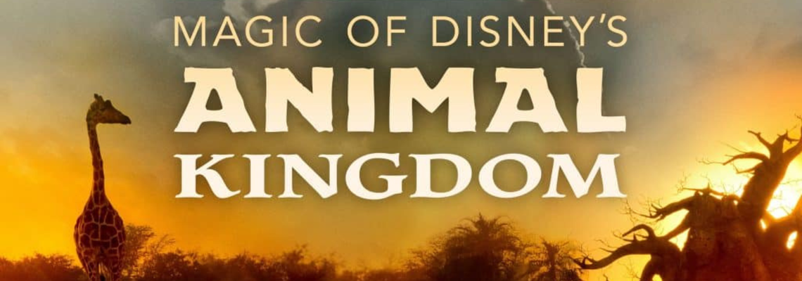 Cover Au coeur d'Animal Kingdom