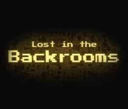 image-https://media.senscritique.com/media/000021328302/0/lost_in_the_backrooms.jpg