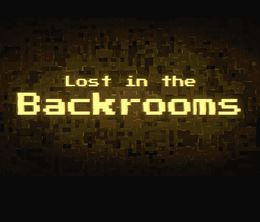 image-https://media.senscritique.com/media/000021328649/0/lost_in_the_backrooms.jpg