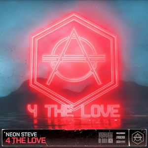 4 The Love - Extended Mix (Single)