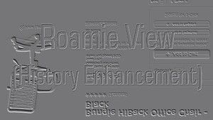 Roamie View : History Enhancement