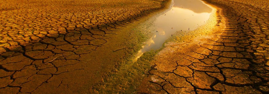 Cover Parched