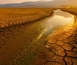 image-https://media.senscritique.com/media/000021330975/0/parched.jpg