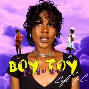 Boy Toy (Single)