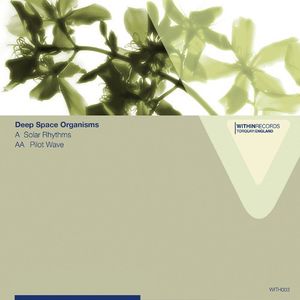 Solar Rhythms / Pilot Wave (EP)