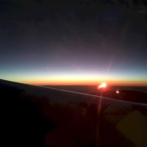 Hibernator (Single)