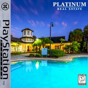 Platinum Real Estate