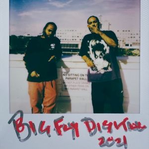 BIG FLY DIGITAL (EP)