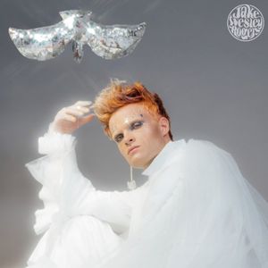 Momentary - The Dove Sessions