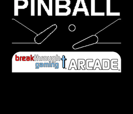 image-https://media.senscritique.com/media/000021341028/0/pinball.png