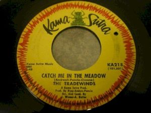 Catch Me in the Meadow (Single)