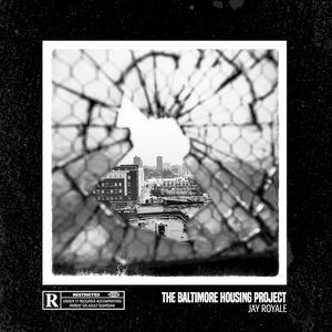 The Baltimore Housing Project