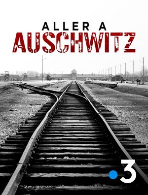 Aller à Auschwitz, janvier 2013