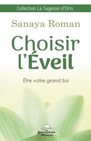 Choisir l'éveil : être votre grand Soi