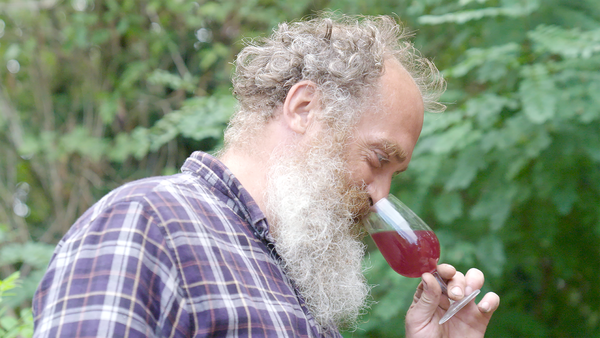 La Révole nature - De la vigne au verre