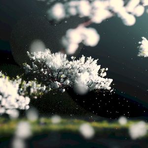 Spring Has Come (Yu Kawa Shizuka feat.uuuu remix)