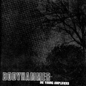 Die Young Amplifiers