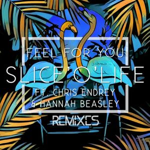 Feel for You [Remixes]