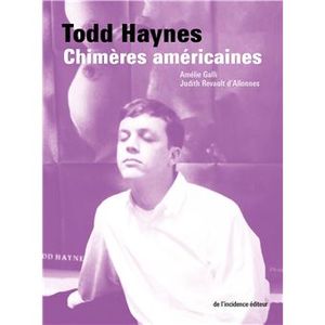 Todd Haynes Chimères américaines