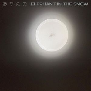 Elephant in the Snow