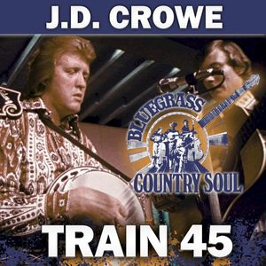 Train 45 (Single)