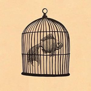 Fish in a Birdcage EP (EP)