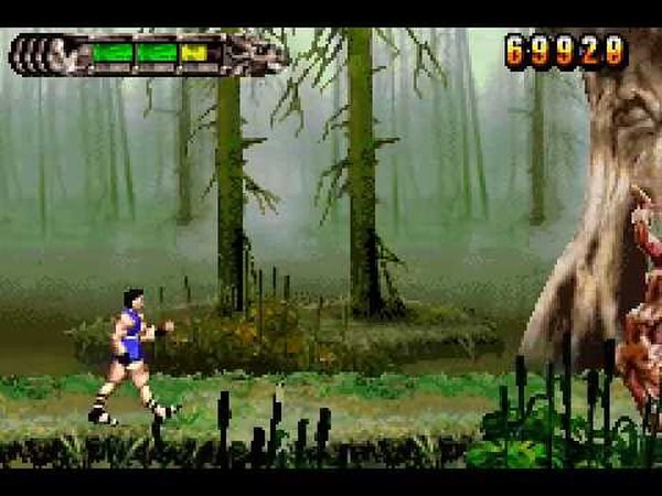 Altered Beast: Guardian of the Realms