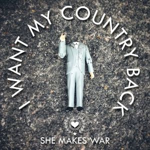 I Want My Country Back (Single)