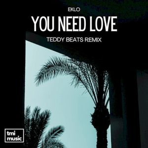 You Need Love (Teddy Beats Remix)