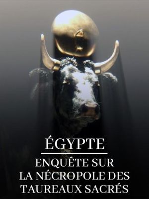 Égypte - Enquête sur la nécropole des taureaux sacrés